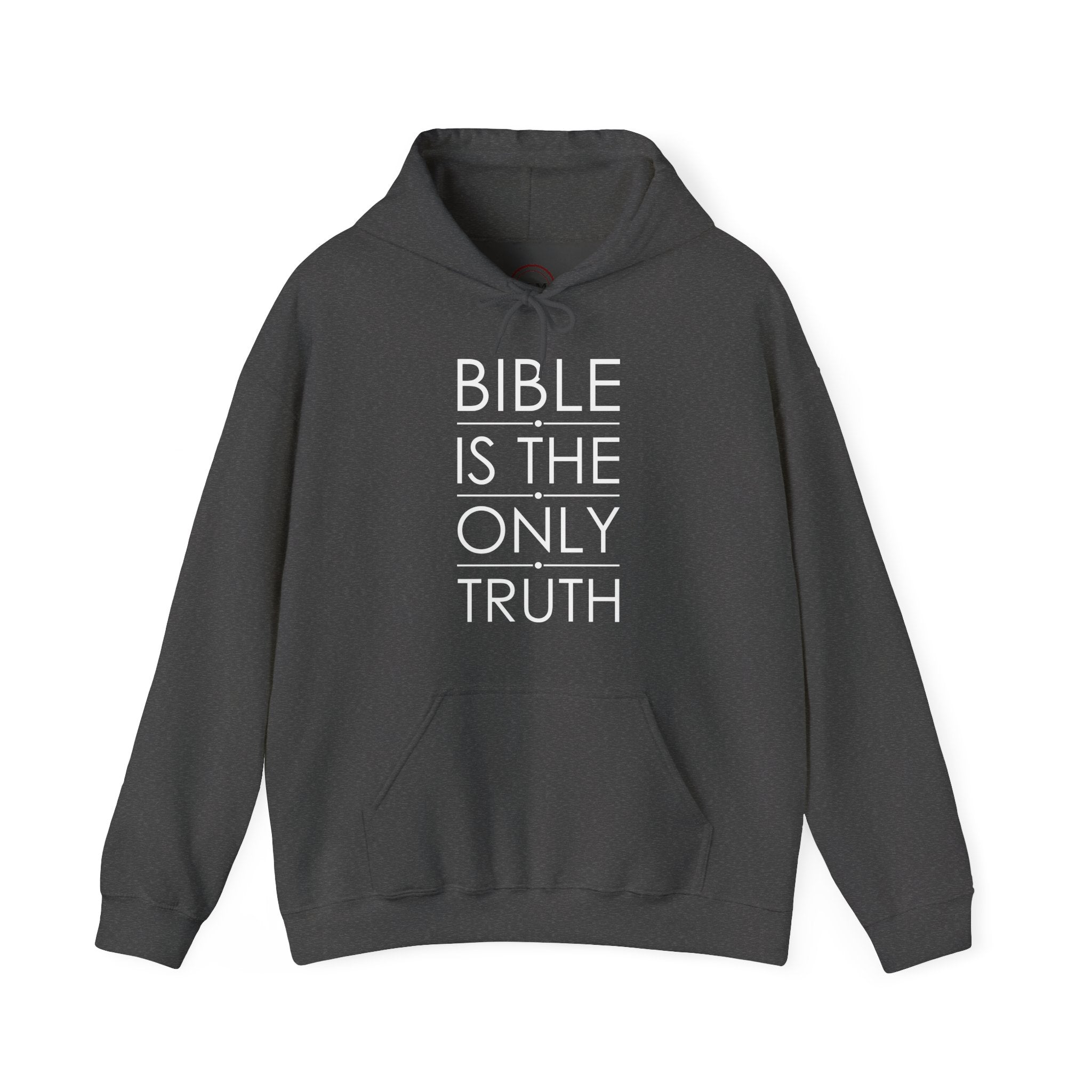 Bible Is The Only Truth Hoodie