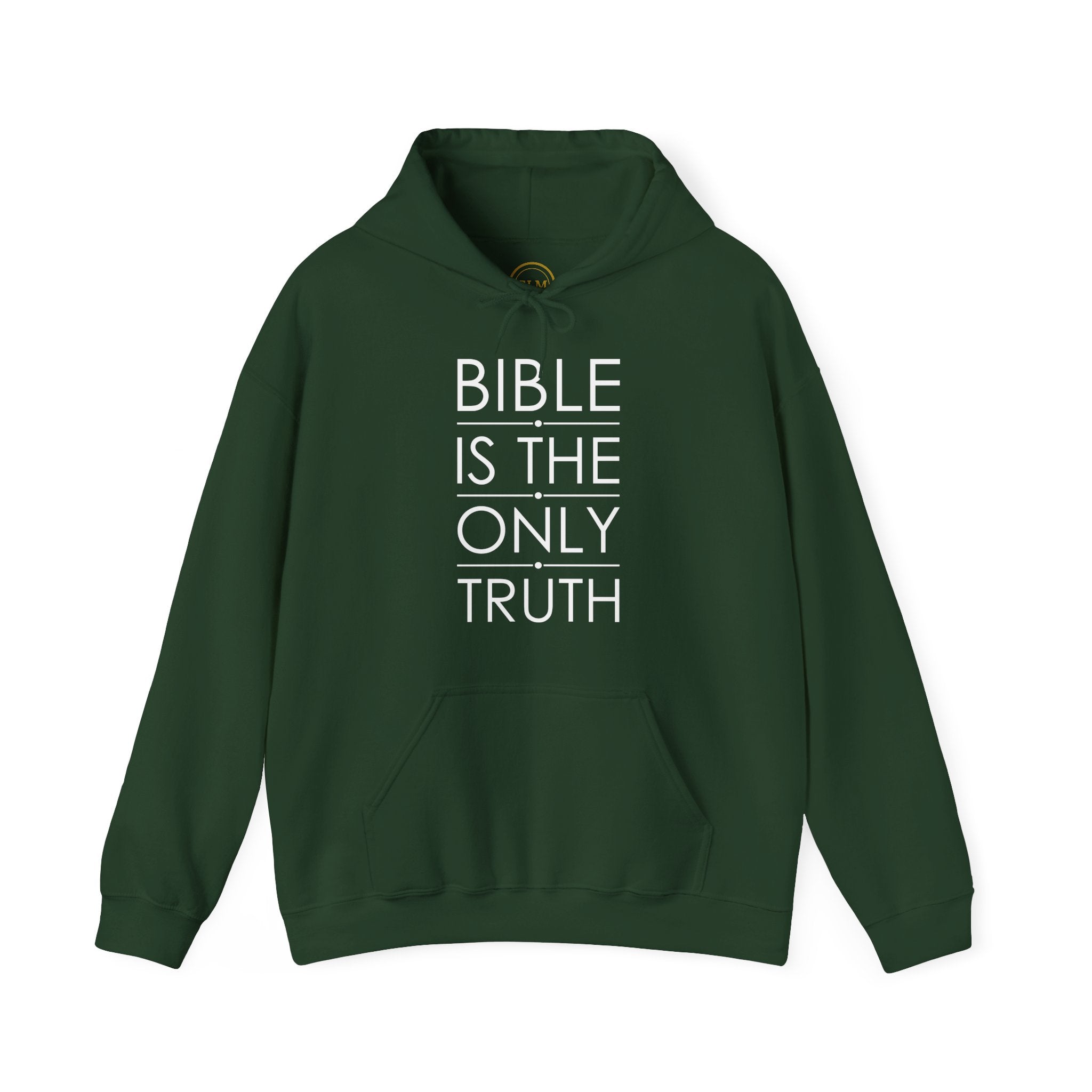 Bible Is The Only Truth Hoodie
