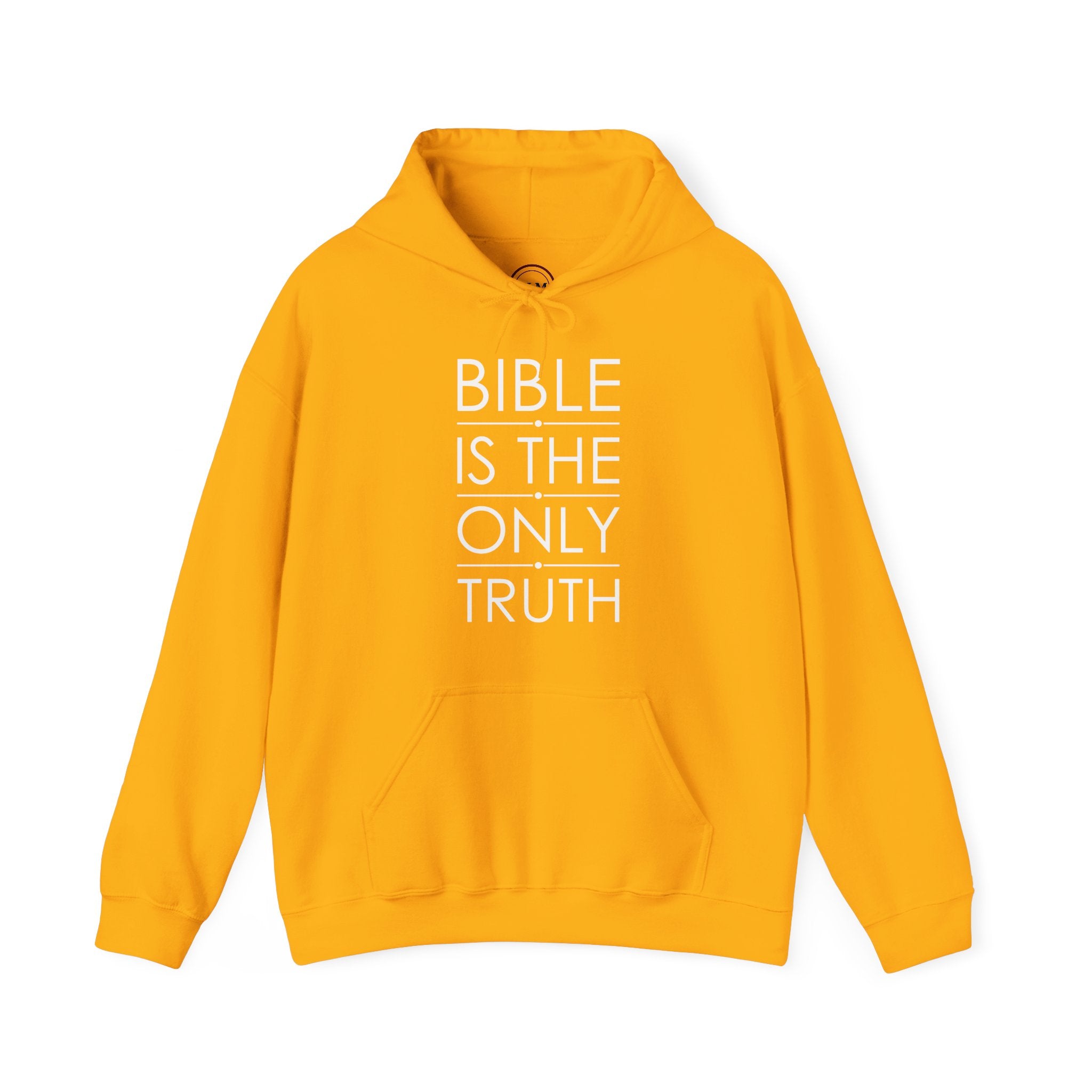 Bible Is The Only Truth Hoodie