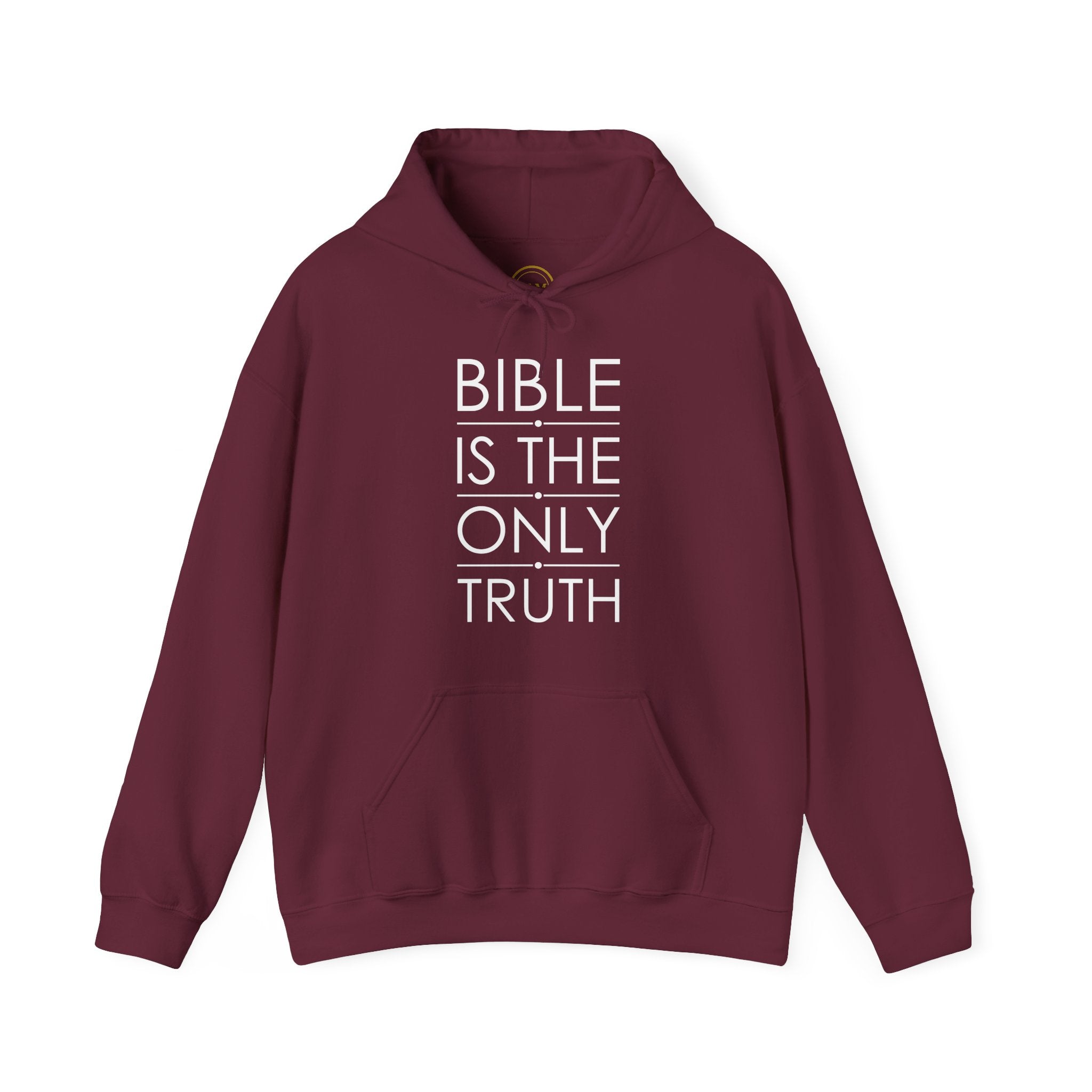 Bible Is The Only Truth Hoodie
