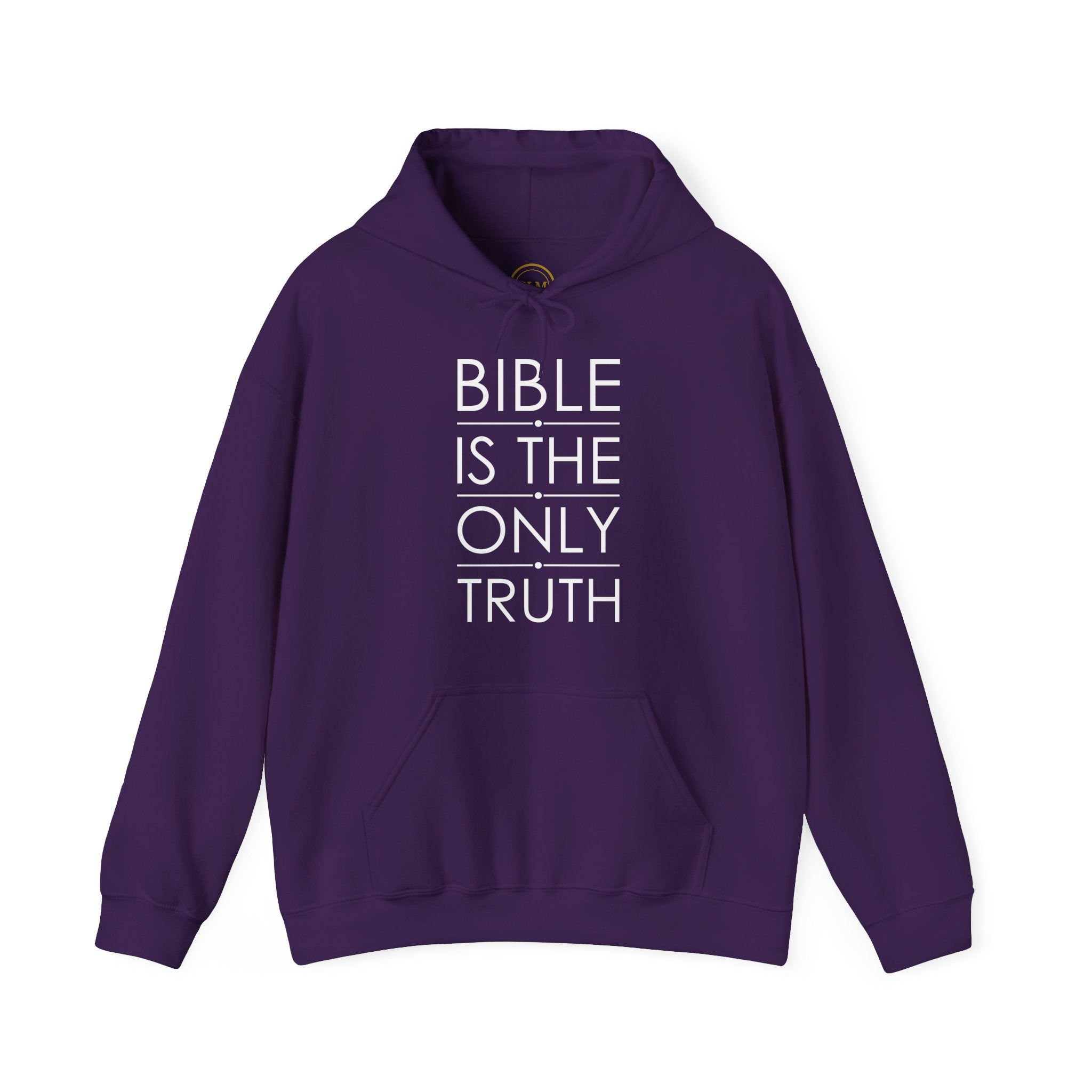 Bible Is The Only Truth Hoodie